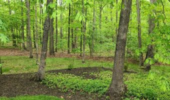 42831 FALLING LEAF Ct, Ashburn, VA 20148