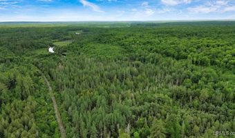 40 Acres Wide Waters Rd, Amasa, MI 49902