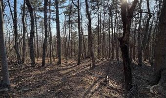 OLD STONY RIDGE RD lot 7, Afton, VA 22920