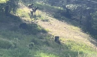 2447 Turner Hill Rd, Bonners Ferry, ID 83805
