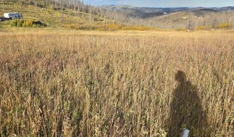 75 Sheep Horn Ct, Bellvue, CO 80512