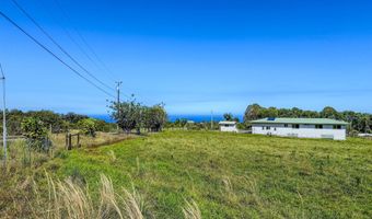 29-609 CHIN CHUCK Rd, Hakalau, HI 96710