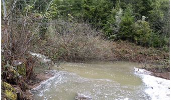 6228 UPPER COW CREEK Rd, Azalea, OR 97410