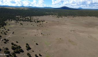 7 N CR 8171, Concho, AZ 85924