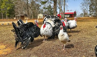 762 High Falls Park Rd, Barnesville, GA 30204