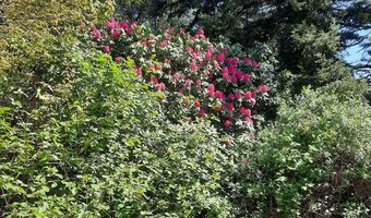 57490 RANDOLPH Rd, Bandon, OR 97411