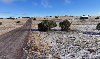 102 County Road 5105, Concho, AZ 85924