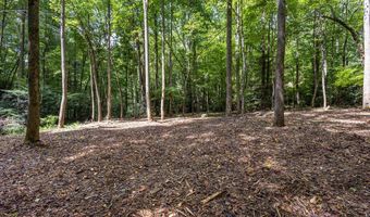 1034 Chestnut Flats Rd, Andrews, NC 28901