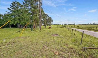 6779 County Road 215, Anderson, TX 77830