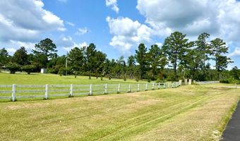 963 Springhill Church Rd, Alamo, GA 30411