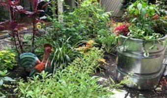 352 Colchester Ave 1, Burlington, VT 05401