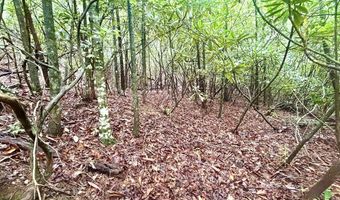520 Calvin Cove Rd, Almond, NC 28702