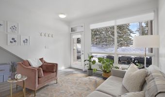 319 AABC C, Aspen, CO 81611