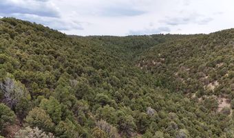 County Rd. 312.1 lot 127, Aguilar, CO 81020