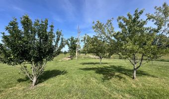 1032 County Road A-409, Ava, MO 65608