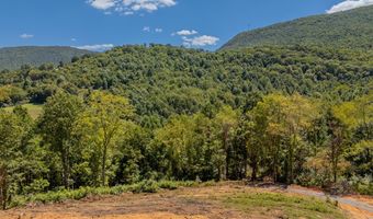 Lot 20 Clear Fork Creek Road, Bastian, VA 24314