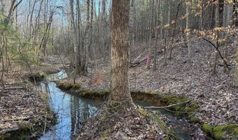 MOUNTAIN CUT RD lot D, Appomattox, VA 24522