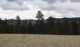 Tract 5 Lone Elk Ranch, Alva, WY 82711