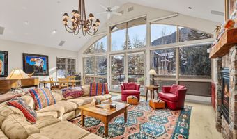 990 E Hopkins Ave, Aspen, CO 81611