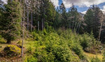 Walsh Ln, Arch Cape, OR 97102