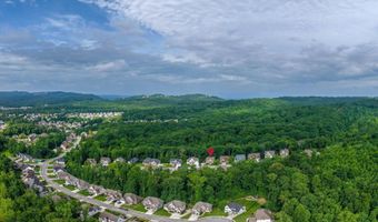 3767 Lacy Leaf Ln, Apison, TN 37302