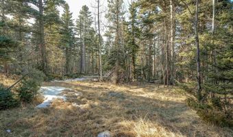 1004 And 1005 El Camino Real, Angel Fire, NM 87710