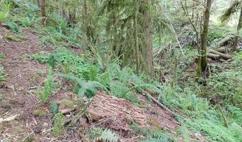 10286 RIDGE VIEW Ter, Birkenfeld, OR 97016