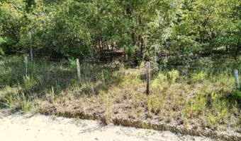 55 Th St, Bell, FL 32619