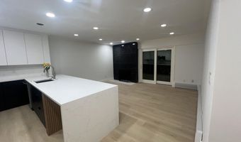 910 W Hallam St 12, Aspen, CO 81611