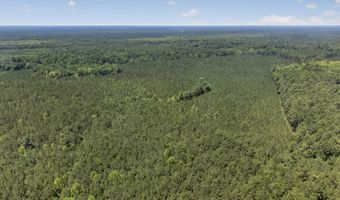 82 Acres Point Caswell Rd, Atkinson, NC 28421