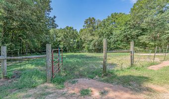 111 Private Road 6980, Alba, TX 75410