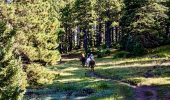 27502 US Hwy 64, Angel Fire, NM 87710