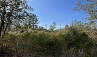 Virginia Drive, Atmore, AL 36502