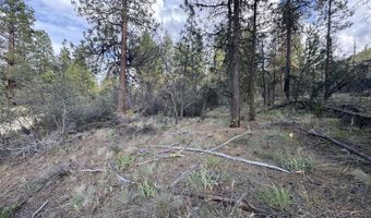 0 Partin Dr 6, Beatty, OR 97621