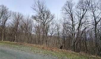 Chappell Farms N lot 5, Banner Elk, NC 28604