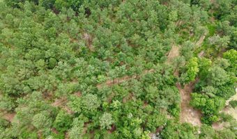 Fox Paw Court, Branchville, SC 29432