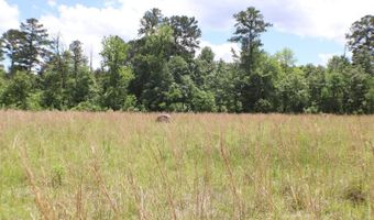 Vine Drive, Brandon, MS 39047