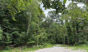 Wolf River Estates Rd, Albany, KY 42602