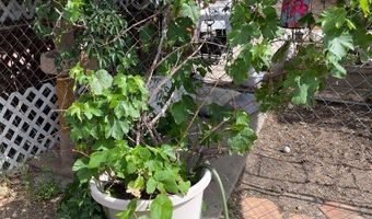 536 Coronado Dr, Bernalillo, NM 87004