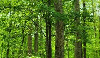 Barnes Road, Bardstown, KY 40004