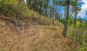 NKA Silver Creek Road, Clark Fork, ID 83811