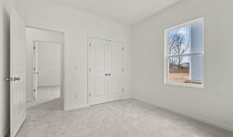 10644 Harlequinn Plan: Glimmer, Adkins, TX 78101