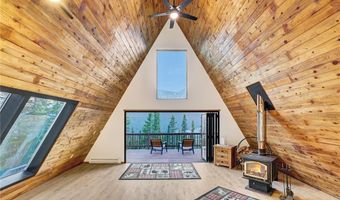 95 SETTELE Ln, Alma, CO 80420