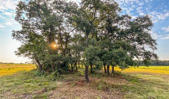 167 County Road 1475, Alvord, TX 76225