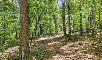 1709 Harrington Rd, Ball Ground, GA 30107