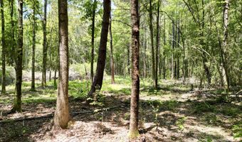 68 Rising Fawn Ln, Carriere, MS 39426