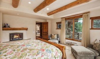 247 Willoughby Way, Aspen, CO 81611