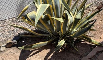 511 Mingus Shadows Dr, Clarkdale, AZ 86324