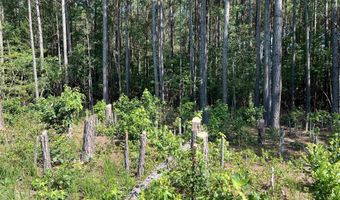 Lot 6 RICHMOND RD, Amelia Court House, VA 23002