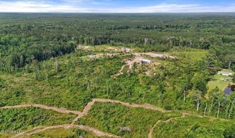 135 Sawmill Rd, Braxton, MS 39044